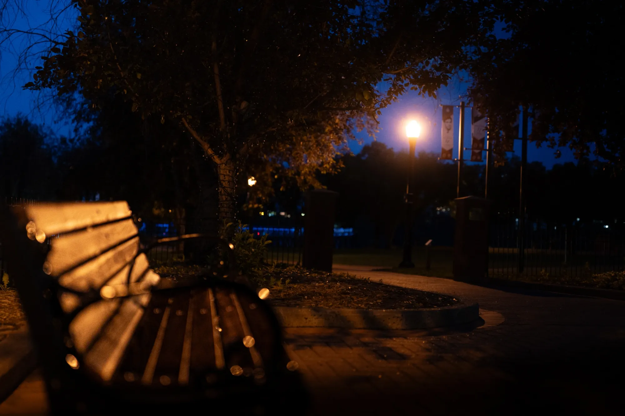 Santonio Peterson — photographer & videographer work
