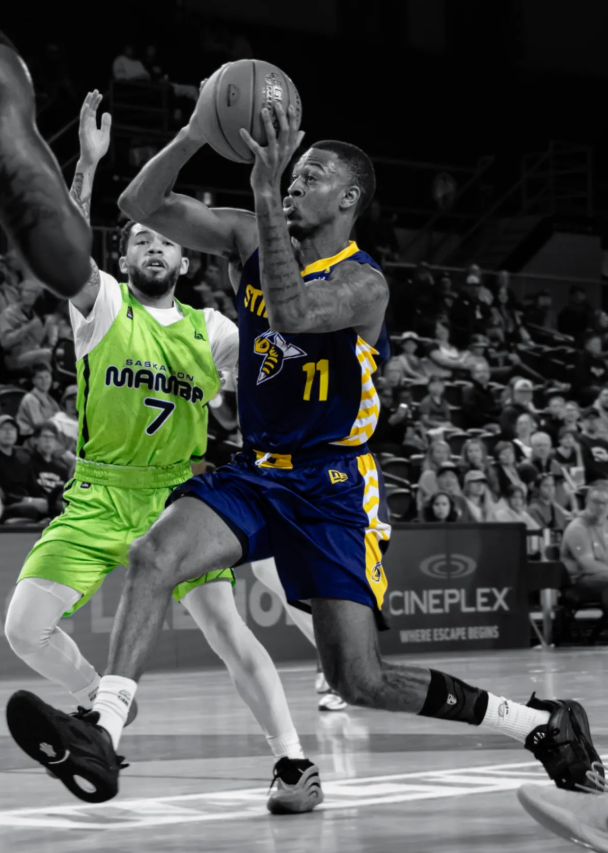 Asher Bunting — Sports photographer work