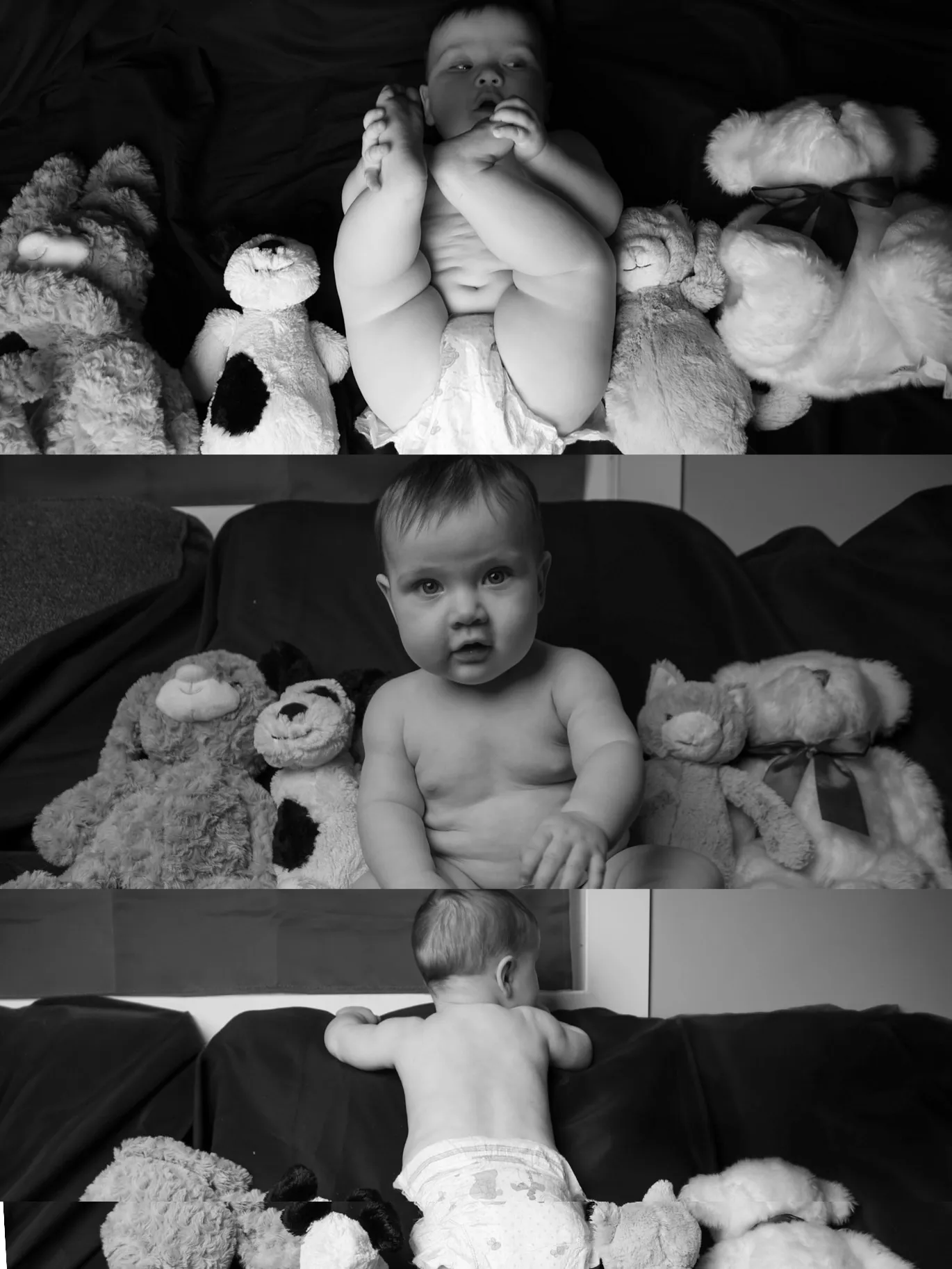 Kelsey Jaksitz — Family/Babies photographer & videographer work