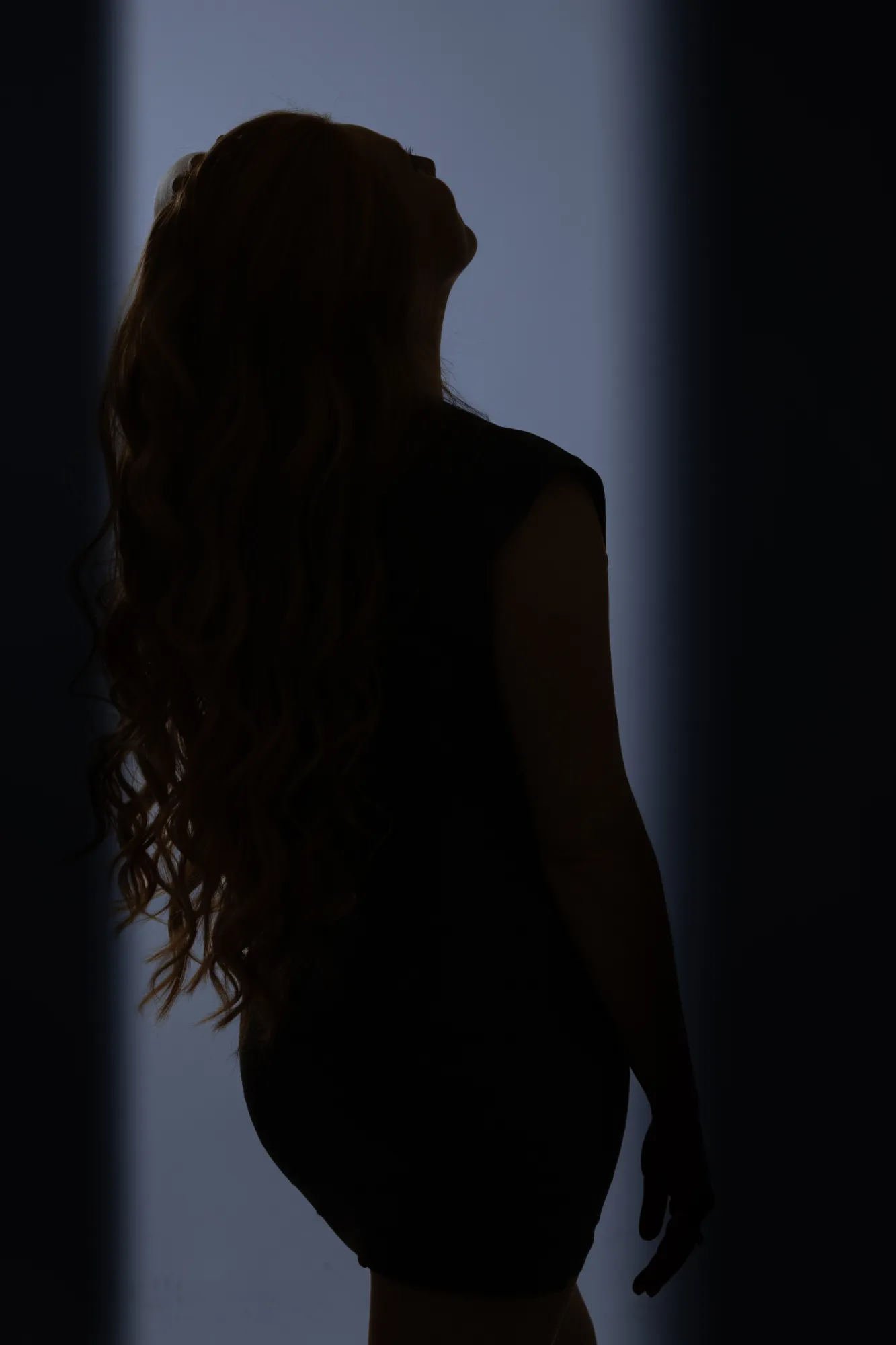 Patrick Walter — silhouette's photographer & videographer work