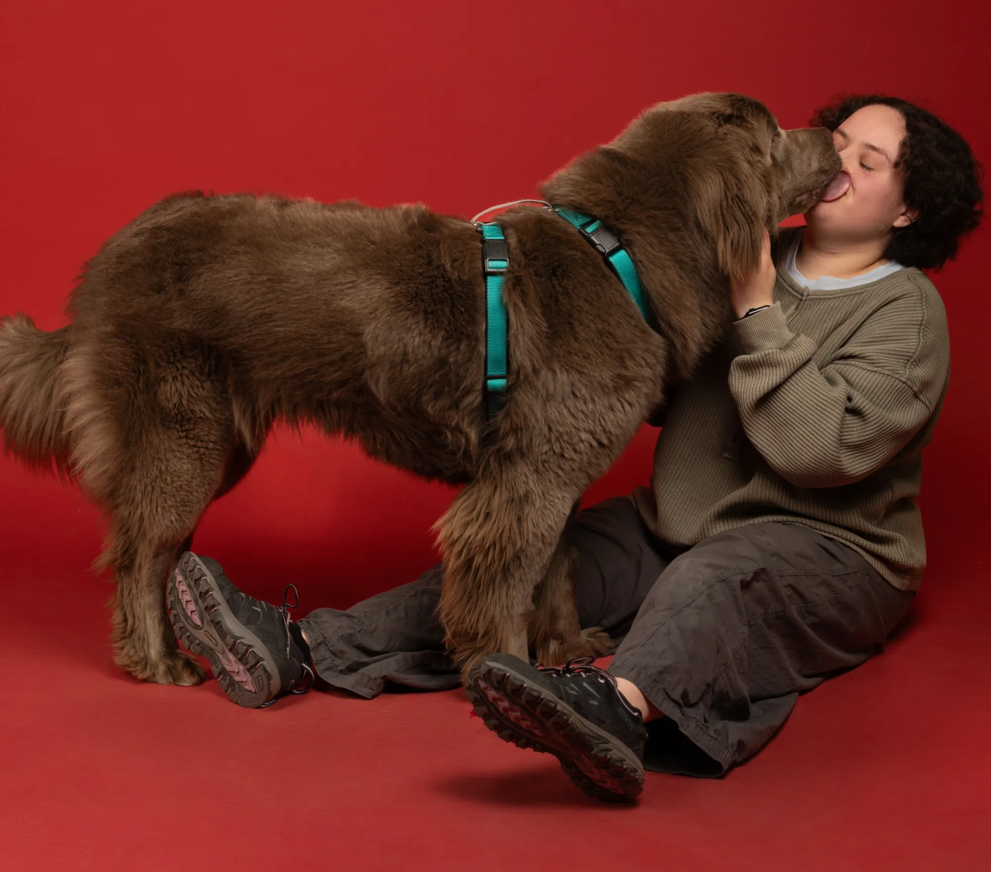 Patrick Walter — Animals photographer & videographer work